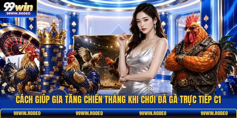 Cách giúp gia tăng chiến thắng khi chơi Đá gà trực tiếp C1 Cách giúp gia tăng chiến thắng khi chơi Đá gà trực tiếp C1
