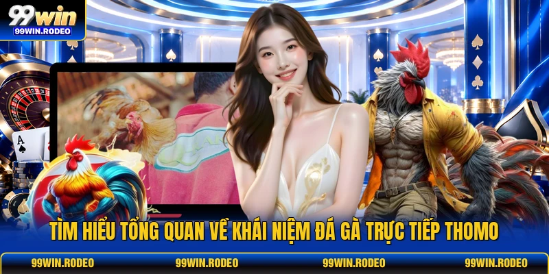 Tìm hiểu tổng quan về khái niệm Đá gà trực tiếp Thomo